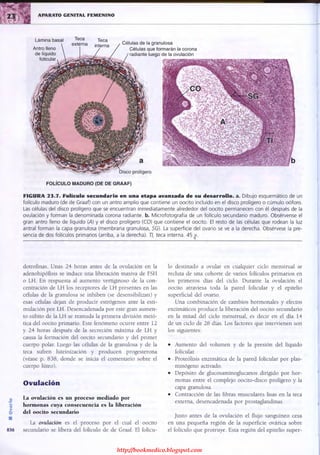 http://bookmedico.blogspot.com
 