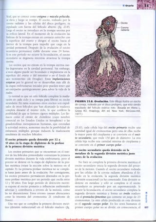 http://bookmedico.blogspot.com
 