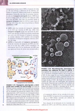 http://bookmedico.blogspot.com
 