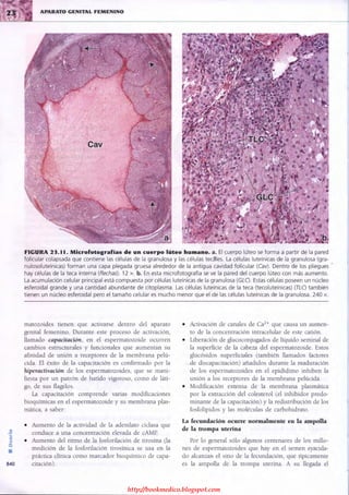 http://bookmedico.blogspot.com
 
