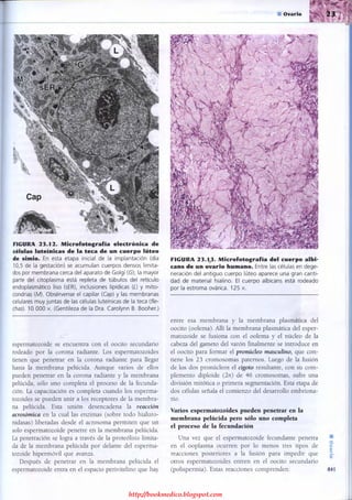 http://bookmedico.blogspot.com
 