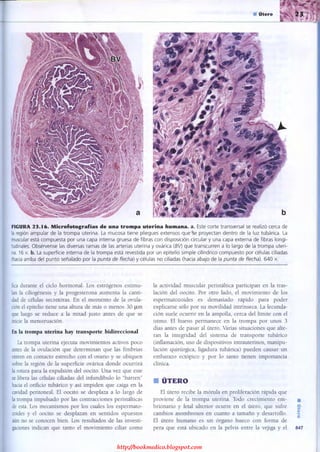 http://bookmedico.blogspot.com
 