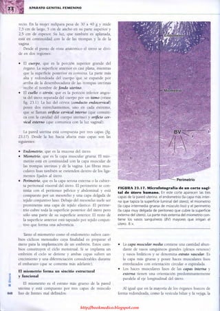 http://bookmedico.blogspot.com
 
