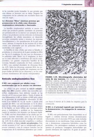 http://bookmedico.blogspot.com
 