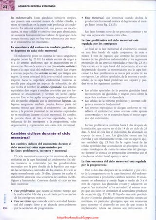 http://bookmedico.blogspot.com
 