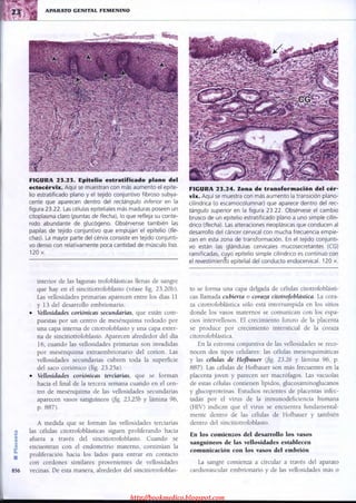 http://bookmedico.blogspot.com
 