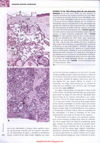 http://bookmedico.blogspot.com
 