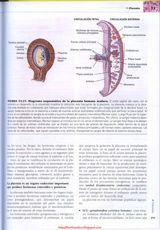 http://bookmedico.blogspot.com
 