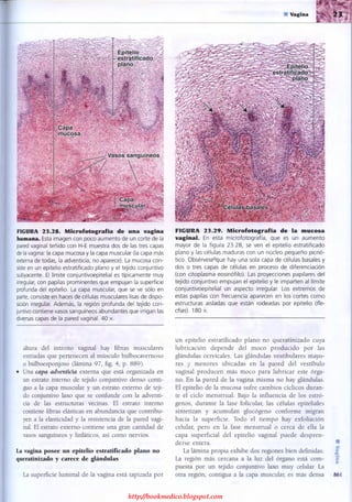 http://bookmedico.blogspot.com
 