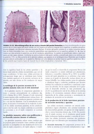 http://bookmedico.blogspot.com
 