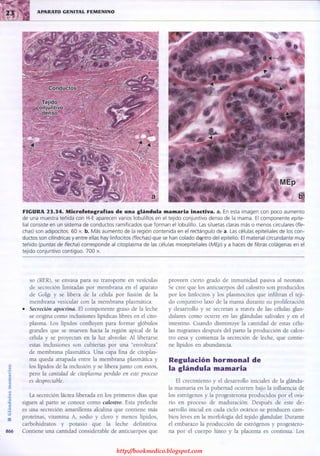 http://bookmedico.blogspot.com
 