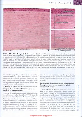 http://bookmedico.blogspot.com
 