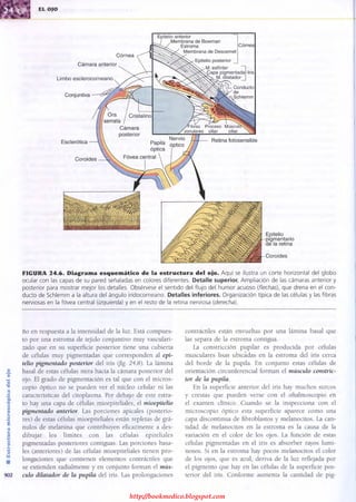 http://bookmedico.blogspot.com
 