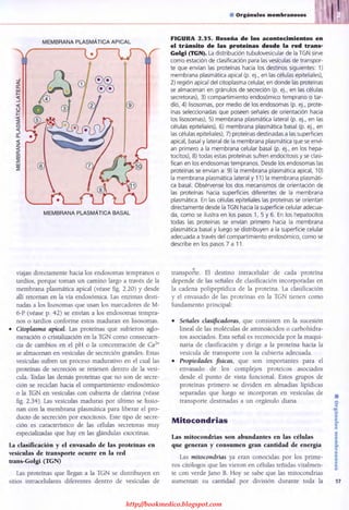 http://bookmedico.blogspot.com
 