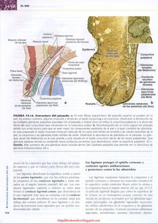 http://bookmedico.blogspot.com
 
