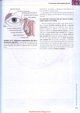 http://bookmedico.blogspot.com
 