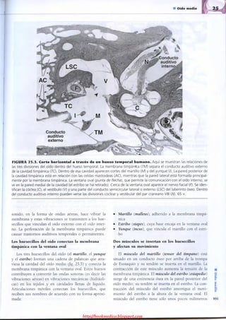 http://bookmedico.blogspot.com
 