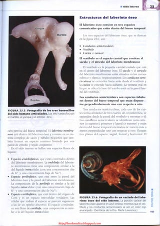http://bookmedico.blogspot.com
 