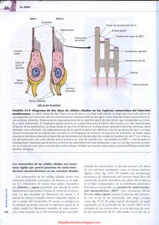 http://bookmedico.blogspot.com
 