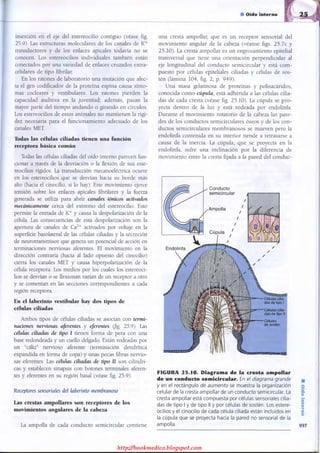 http://bookmedico.blogspot.com
 