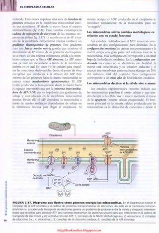 http://bookmedico.blogspot.com
 