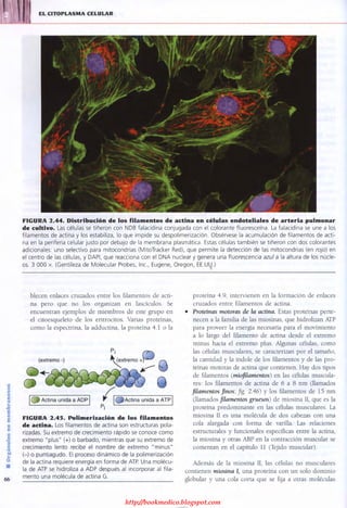 http://bookmedico.blogspot.com
 