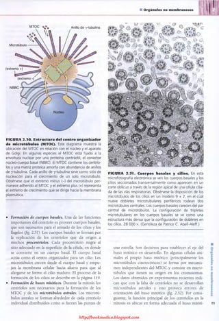 http://bookmedico.blogspot.com
 