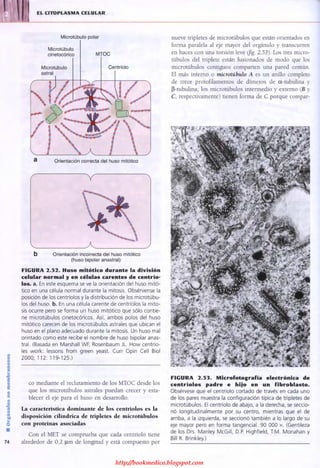 http://bookmedico.blogspot.com
 