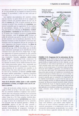 http://bookmedico.blogspot.com
 