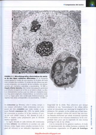 http://bookmedico.blogspot.com
 
