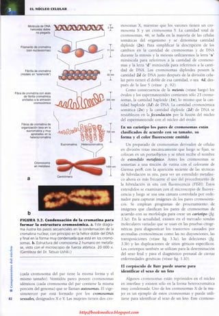 http://bookmedico.blogspot.com
 