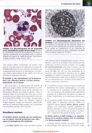 http://bookmedico.blogspot.com
 
