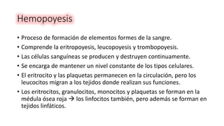 Hemopoyesis
• Proceso de formación de elementos formes de la sangre.
• Comprende la eritropoyesis, leucopoyesis y trombopoyesis.
• Las células sanguíneas se producen y destruyen continuamente.
• Se encarga de mantener un nivel constante de los tipos celulares.
• El eritrocito y las plaquetas permanecen en la circulación, pero los
leucocitos migran a los tejidos donde realizan sus funciones.
• Los eritrocitos, granulocitos, monocitos y plaquetas se forman en la
médula ósea roja  los linfocitos también, pero además se forman en
tejidos linfáticos.
 