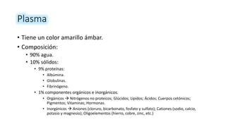 Plasma
• Tiene un color amarillo ámbar.
• Composición:
• 90% agua.
• 10% sólidos:
• 9% proteínas:
• Albúmina.
• Globulinas.
• Fibrinógeno.
• 1% componentes orgánicos e inorgánicos.
• Orgánicos  Nitrógenos no proteicos; Glúcidos; Lípidos; Ácidos; Cuerpos cetónicos;
Pigmentos; Vitaminas; Hormonas.
• Inorgánicos  Aniones (cloruro, bicarbonato, fosfato y sulfato); Cationes (sodio, calcio,
potasio y magnesio); Oligoelementos (hierro, cobre, zinc, etc.)
 