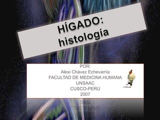 HÍGADO: histología POR:  Alexi Chávez Echevarría FACULTAD DE MEDICINA HUMANA UNSAAC CUSCO-PERÚ 2007 