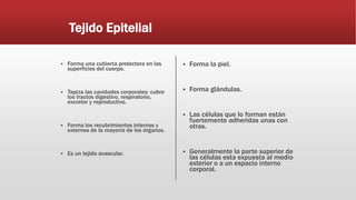 Tejido Epitelial
 Forma una cubierta protectora en las
superficies del cuerpo.
 Tapiza las cavidades corporales: cubre
los tractos digestivo, respiratorio,
excretor y reproductivo.
 Forma los recubrimientos internos y
externos de la mayoría de los órganos.
 Es un tejido avascular.
 Forma la piel.
 Forma glándulas.
 Las células que lo forman están
fuertemente adheridas unas con
otras.
 Generalmente la parte superior de
las células esta expuesta al medio
exterior o a un espacio interno
corporal.
 
