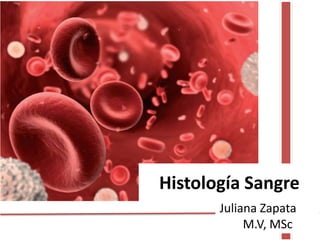 Histología Sangre
Juliana Zapata
M.V, MSc
 