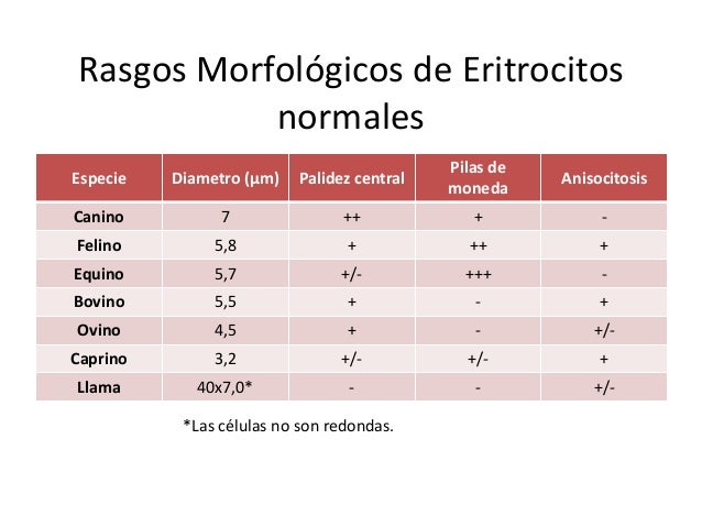 Histología sangre