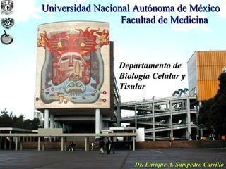 Universidad Nacional Autónoma de México
                  Facultad de Medicina



                Departamento de
                Biología Celular y
                Tisular




                    Dr. Enrique A. Sampedro Carrillo
 