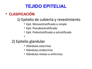 TEJIDO EPITELIAL
• CLASIFICACIÓN
1) Epitelio de cubierta y revestimiento
• Epit. Monoestratificado o simple
• Epit. Pseudo...