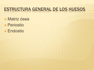 Histología tejidos óseos | PPTX