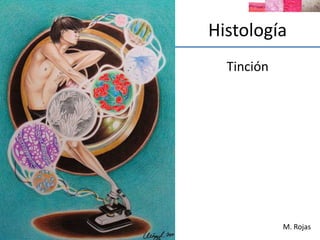 Histología
Tinción
M. Rojas
 