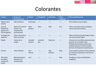 Histología tinción (histology staining) | PPTX