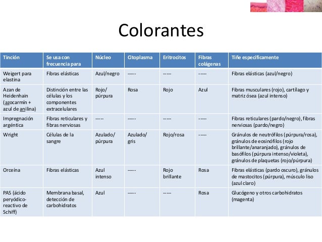Clasificacion De Los Colorantes En Microbiologia www.slideshare.net