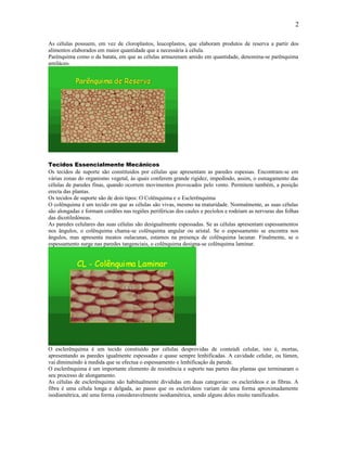 2

As células possuem, em vez de cloroplastos, leucoplastos, que elaboram produtos de reserva a partir dos
alimentos elaborados em maior quantidade que a necessária à célula.
Parênquima como o da batata, em que as células armazenam amido em quantidade, denomina-se parênquima
amiláceo.




Tecidos Essencialmente Mecânicos
Os tecidos de suporte são constituidos por células que apresentam as paredes espessas. Encontram-se em
várias zonas do organismo vegetal, às quais conferem grande rigidez, impedindo, assim, o esmagamento das
células de paredes finas, quando ocorrem movimentos provocados pelo vento. Permitem também, a posição
erecta das plantas.
Os tecidos de suporte são de dois tipos: O Colênquima e o Esclerênquima
O colênquima é um tecido em que as células são vivas, mesmo na maturidade. Normalmente, as suas células
são alongadas e formam cordões nas regiões periféricas dos caules e pecíolos e rodeiam as nervuras das folhas
das dicotiledóneas.
As paredes celulares das suas células são desigualmente espessadas. Se as células apresentam espessamentos
nos ângulos, o colênquima chama-se colênquima angular ou aristal. Se o espessamento se encontra nos
ângulos, mas apresenta meatos oulacunas, estamos na presença de colênquima lacunar. Finalmente, se o
espessamento surge nas paredes tangenciais, o colênquima designa-se colênquima laminar.




O esclerênquima é um tecido constiuído por células desprovidas de conteúdi celular, isto é, mortas,
apresentando as paredes igualmente espessadas e quase sempre lenhificadas. A cavidade celular, ou lúmen,
vai diminuindo à medida que se efectua o espessamento e lenhificação da parede.
O esclerênquima é um importante elemento de resistência e suporte nas partes das plantas que terminaram o
seu processo de alongamento.
As células de esclerênquima são habitualmente divididas em duas categorias: os esclerídeos e as fibras. A
fibra é uma célula longa e delgada, ao passo que os esclerídeos variam de uma forma aproximadamente
isodiamétrica, até uma forma consideravelmente isodiamétrica, sendo alguns deles muito ramificados.
 