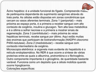 Ácino hepático: é a unidade funcional do fígado. Compreende massa
de parênquima dependente do suprimento sangüíneo através do
trato porta. As células estão dispostas em zonas concêntricas que
cercam os vasos aferentes terminais. Zona 1 (periportal) – mais
próxima ao espaço porta, é a primeira a receber sangue com alto
conteúdo de oxigênio, insulina e glucagon. Tem alta taxa metabólica
e é a última a sofrer necrose e a primeira a mostrar sinais de
regeneração. Zona 3 (centrilobular) – mais próxima às veias
hepáticas terminais, recebe sangue por último. Aqui estão muitas
das enzimas que participam de biotransformação (NADPH citocromo
P450-redutase). Zona 2 (mediolobular) – recebe sangue com
conteúdo intermediário de oxigênio.
Microscopia eletrônica: a organela mais evidente do hepatócito é o
retículo endoplasmático. No RER é que ocorre a síntese de várias
proteínas entre as quais a albumina, protrombina e o fibrinogênio.
Outro componente importante é o glicogênio, de quantidade bastante
variável. Funciona como um depósito que a célula mobiliza quando
ocorre hipoglicemia.
Colorações específicas:
 