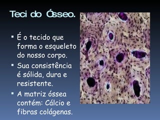 Tecido Ósseo. É o tecido que forma o esqueleto do nosso corpo. Sua consistência é sólida, dura e resistente. A matriz óssea contém: Cálcio e fibras colágenas. 