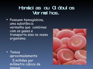Hemácias ou Glóbulos Vermelhos. Possuem hemoglobina, uma substância vermelha que  combinas com os gases e transporta eles no nosso organismo. Temos aproximadamente 5 milhões por milímetro cúbico de sangue. 