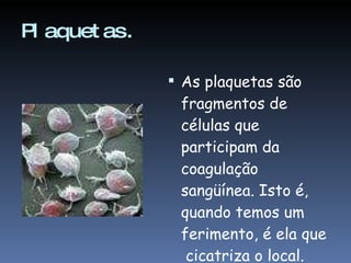 Plaquetas. As plaquetas são fragmentos de células que participam da coagulação sangüínea. Isto é, quando temos um ferimento, é ela que  cicatriza o local. 