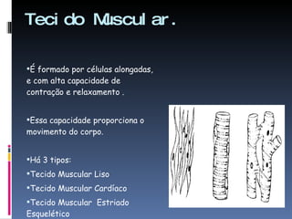 Tecido Muscular. É formado por células alongadas, e com alta capacidade de contração e relaxamento . Essa capacidade proporciona o movimento do corpo. Há 3 tipos: Tecido Muscular Liso Tecido Muscular Cardíaco Tecido Muscular  Estriado Esquelético 